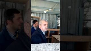 Posta Güvercini Bursa