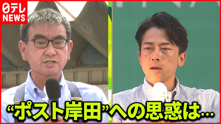 【自民党】河野太郎氏と小泉进次郎氏  「ポスト岸田」への思惑は？ - 天天要闻