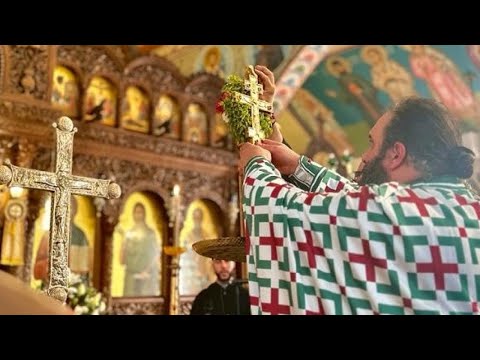 ვიდეო: წმინდა ჯვრის ეკლესიის აღწერა და ფოტოები - ბელორუსია: ბარანოვიჩი