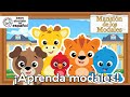Aprende Modales Con La Bebé Einstein Mansión De Los Modales BabyEinsteinenEspanol