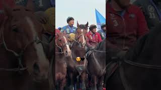 Video ga nom beramiz ❤️‍🔥#funny  #shortvideo #horse #ot #otlar #automobile #youtubeshorts #khusanov