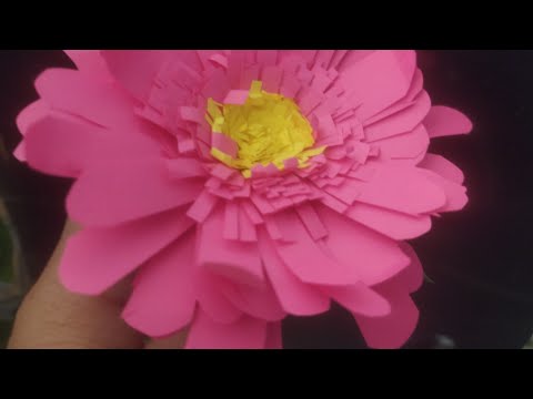 Video: Hvordan Transplantere En Gerbera