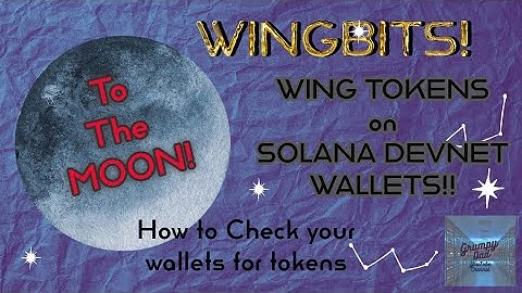 WINGBITS sending WING Tokens to Devnet Wallets HOW TO see your Tokens - a brief overview of Wingbits