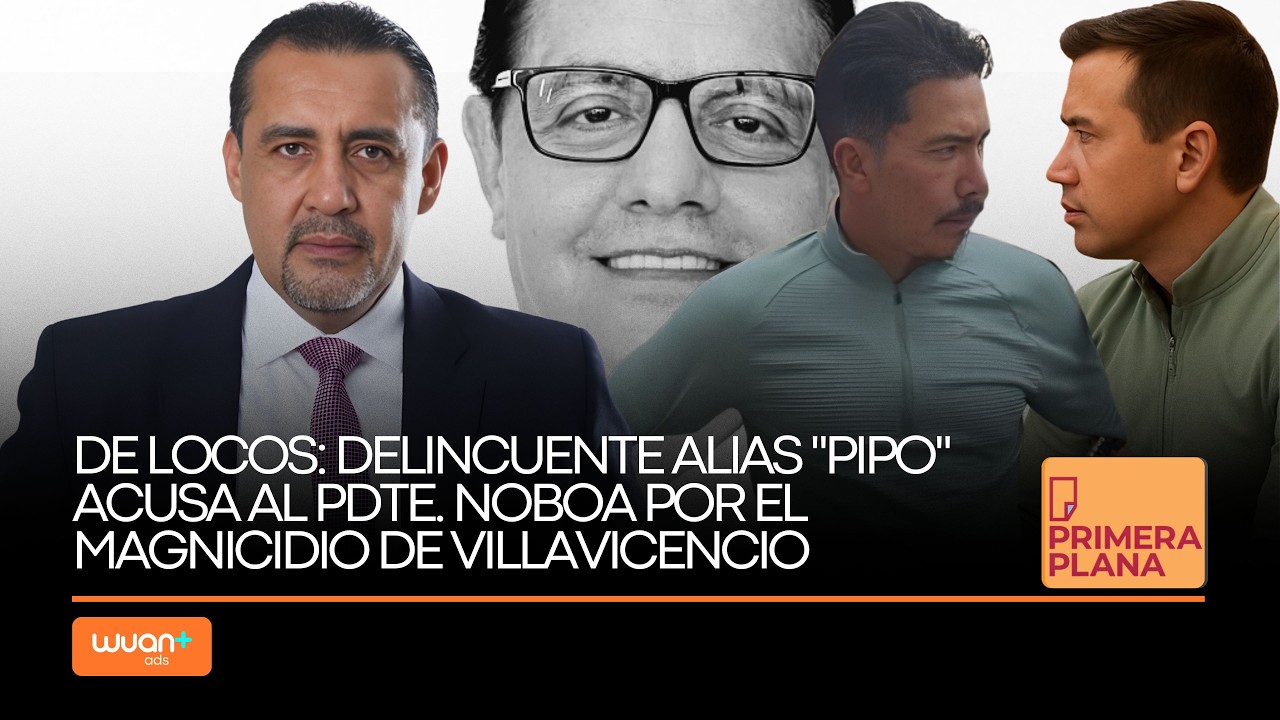 Una locura: delincuente alias 