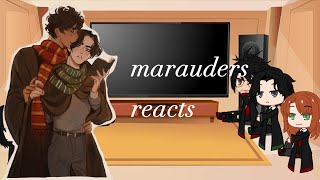 marauders era reacts to Jegulus (1/?) *check description*