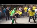 Irish Fans at euro 2016