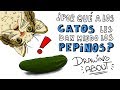 ¿POR QUÉ A LOS GATOS LES DAN MIEDO LOS PEPINOS? | Draw My Life