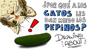 ¿POR QUÉ A LOS GATOS LES DAN MIEDO LOS PEPINOS? | Draw My Life