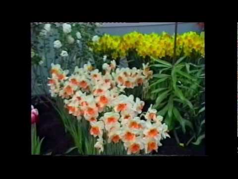 Floriade Zoetermeer (NL 1992 HQ) Floriade Zoetermeer (NL 1992 HQ)