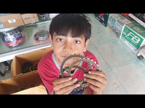 รีวิว เปลี่ยนชุดแผ่นคลัทช์ Wave 110i