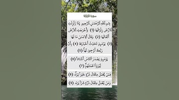 سورة الزلزلة عمر القزابري #حالات_واتس #تيك_توك #صباح_الخير #اكسبلور #لايك #راحة_نفسية #ترند #دويتو