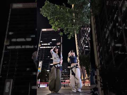 Shake It To The Max FLY Remix MOLIY Shenseea Skillibeng Dance Cover