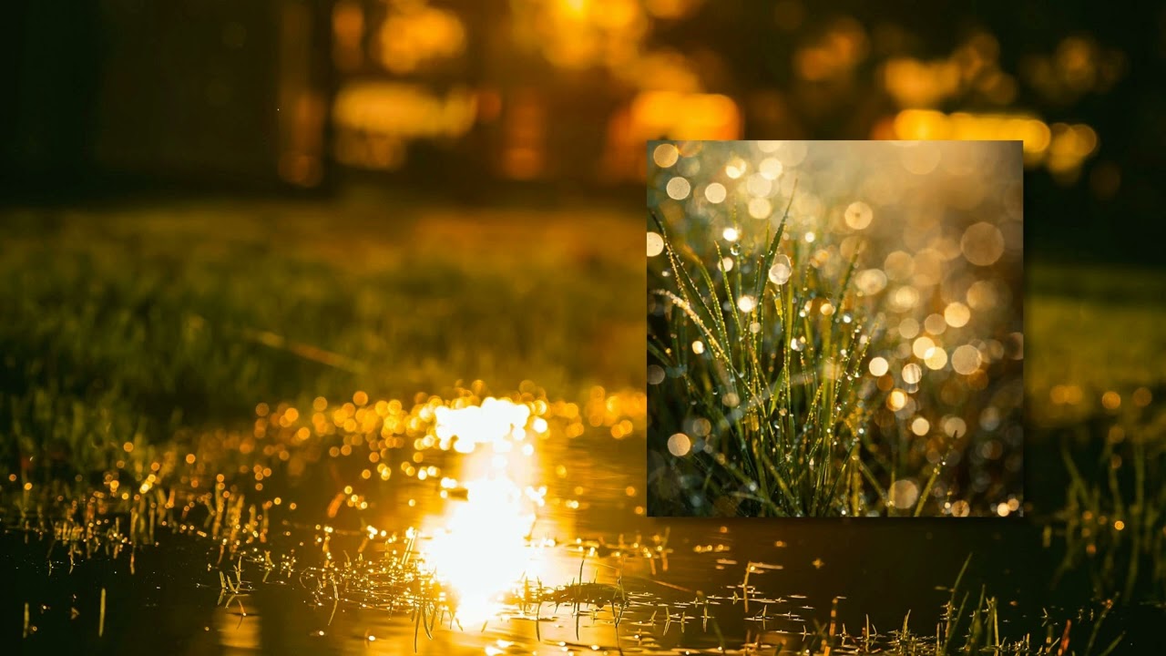 Obejrzyj Harax - Sunshower w YouTube Obejrzyj Harax - Sunshower w YouTube