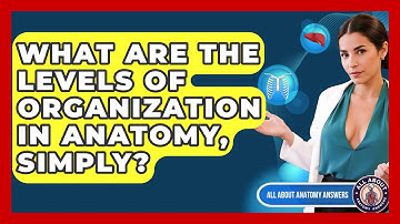 What Are The Levels Of Organization In Anatomy, Simply? - All About Anatomy Answers