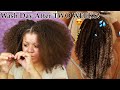 Extra Moisturized Poppin' Curls After Two Week Old Protective Style | Wash Day Start To Finish