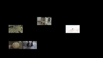 Up To Faster 40parison To HowToBasic