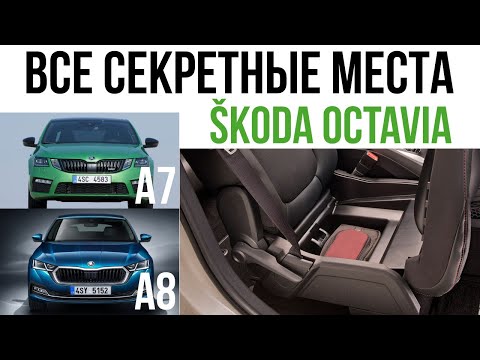 Все секретные места SKODA OCTAVIA A7 и A8 2021