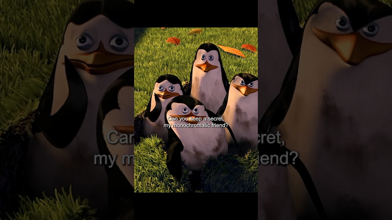 These penguins are more like the main characters #funny #movie #shorts #edit #movie #cute