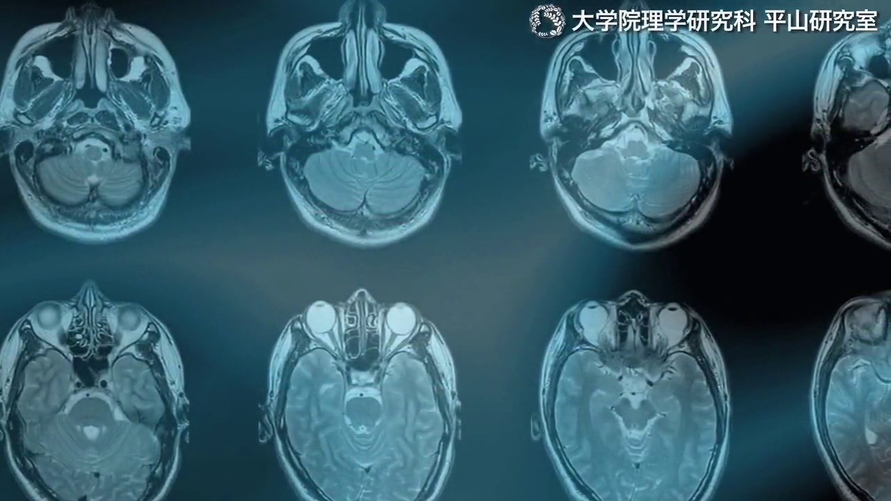 東北大学大学院理学研究科平山祥郎研究室 核スピンエレクトロニクスによる半導体構造の新境地 Youtube 東北大学大学院理学研究科平山祥郎研究室 核スピンエレクトロニクスによる半導体構造の新境地 Youtube