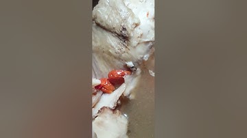 Dong Guai Chicken soup with Goji Berries, dried red dates and Longans