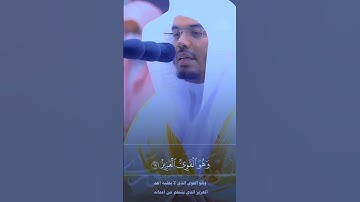 قرأن كريم 🤍 #قرآن #قران_كريم #راحة_نفسية #تلاوة_خاشعة #اكسبلور #لايك #دويتو