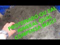 PROTEINADO OU SAL MINERAL | suplementação pra gado de corte