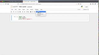 16. Jupyter cell types