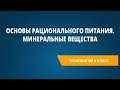 Основы рационального питания. Минеральные вещества