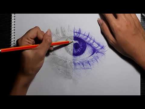 Eye drawing | Using one pencil and blue pen
