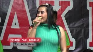 Download Lagu Tanggul kali bangkir  Voc. Citra Gacor MP3