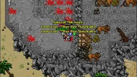 Wyrms-Tibia Summer Update 2008