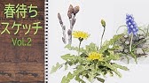 解説 秋の絵手紙 マーガレット 10月 11月 12月 初心者向け描き方解説 花の描き方 Youtube