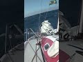 #minitransat6.50 #sailing #shorts