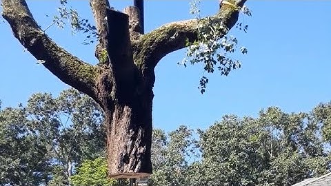 Simple Video Showing Capability of company that has brought in￼ A LOT Already!￼