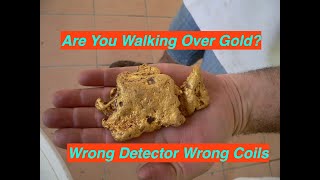 Are you using the wrong detector or coils and walking over the Gold Nuggets? Probably. by DetectorMods 1,898 views 2 weeks ago 46 minutes