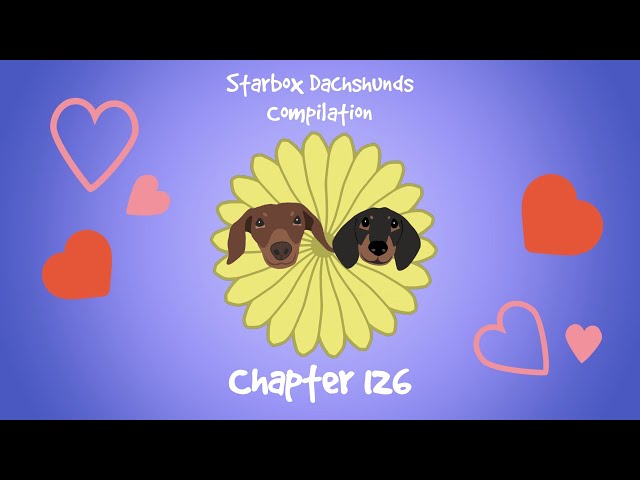 Starbox Dachshunds Compilation Chapter 126 class=