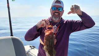 Slow pitch Johnny Jigs big Red Grouper in the Gulf Of Mexico