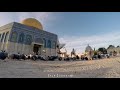  يآ طير مهاجر ع الأقصى وديني قدسي  mp3