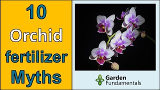 10 Orchid Fertilizer Myths ⏰ What Recent Science Says