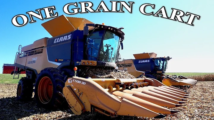 Two Combines One Grain Cart | Harvest Day 24