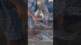 Köy Balık Pazarında Dev Grupayı Kesmek 🐟🔪