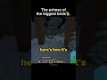 Parrot can't make some echoes🦜 #unstablesmp
