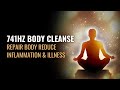 741 Hz Body Cleanse | Develop Infection Fighting Ability | Repair Body Reduce Inflammation & Illness