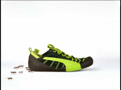 puma ant
