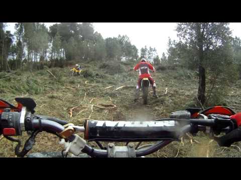 Lusitanos rebordondo redondelo casas novas.. 1 of 4