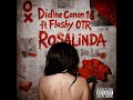 Didine Canon 16 Ft Flash OTR RoSALinDA