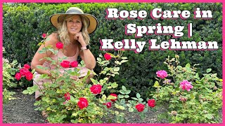 How to Care for Your Roses This Spring | Kelly Lehman