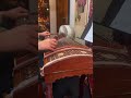 #musical  #music  Chinese traditional musical instrument Guzheng袖梦（xuimeng） #音樂