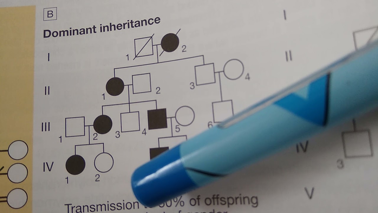 Medicine 068 Pedigree chart flowchart components family tree genetic inheritance dead affected