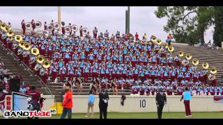 Talladega College - Electric Lady (2014)